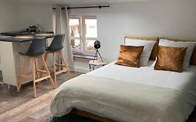 Studio Cocooning Et Refait A Neuf. Lyon 06